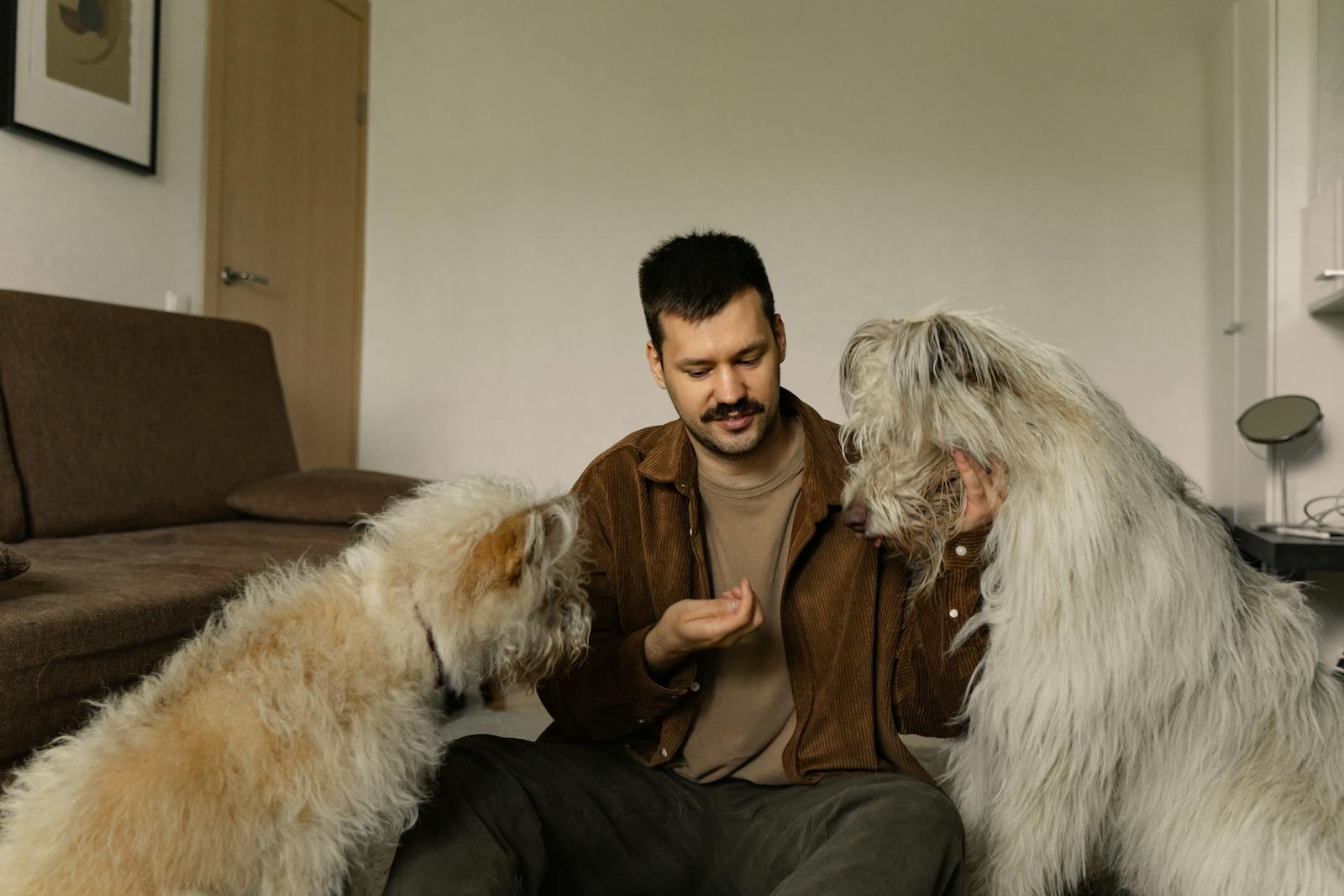 hombre con 2 perros