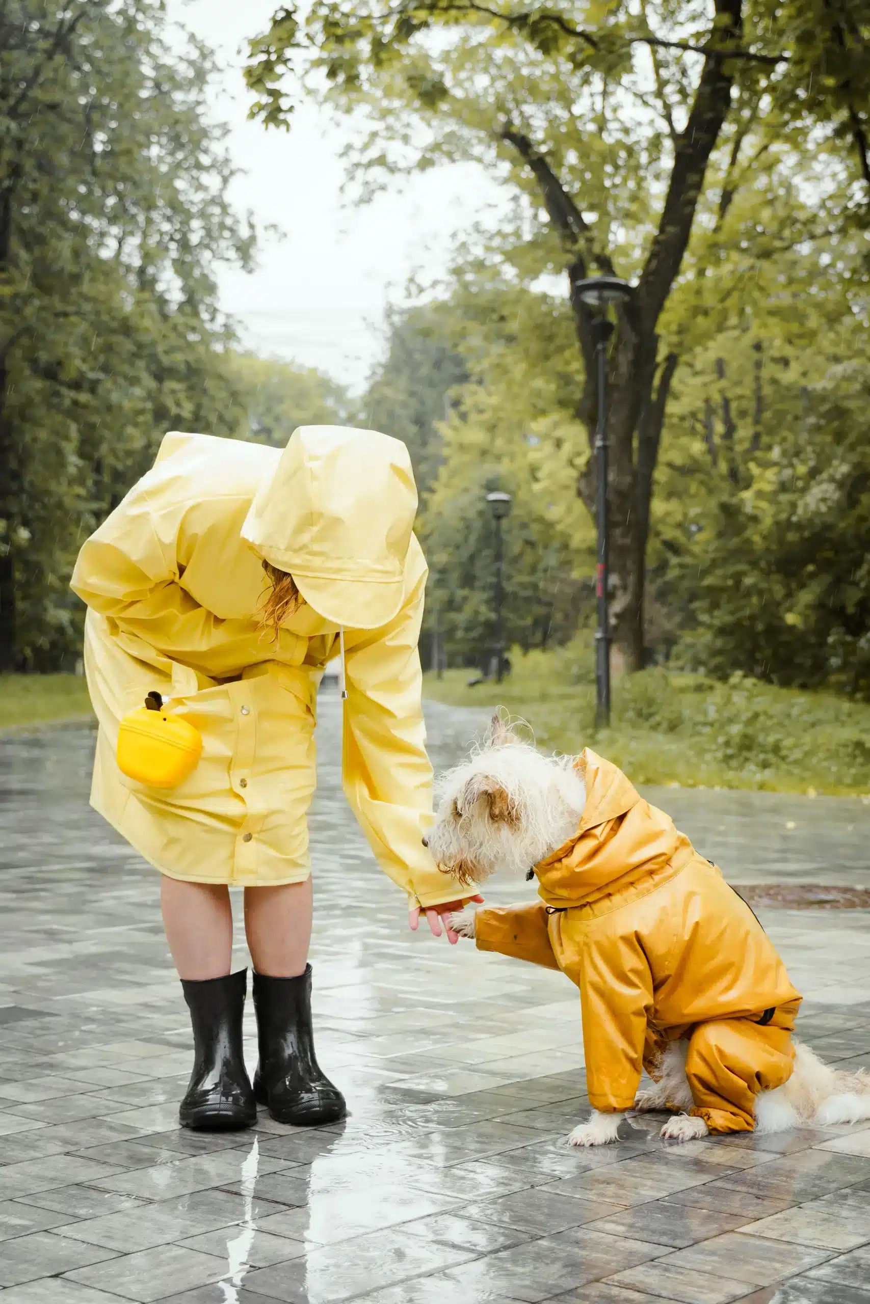 perro lamiendo a mujer