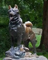 estatua balto
