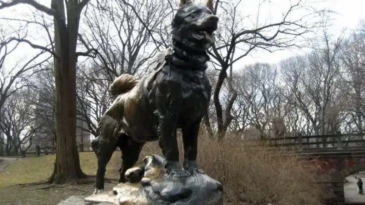 balto perro
